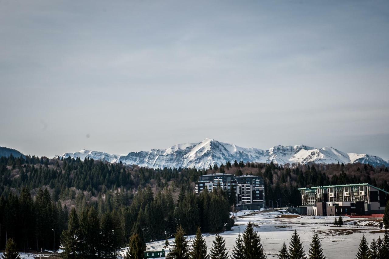 Twin Studio Silver Mountain โปยานาบราซอฟ ภายนอก รูปภาพ