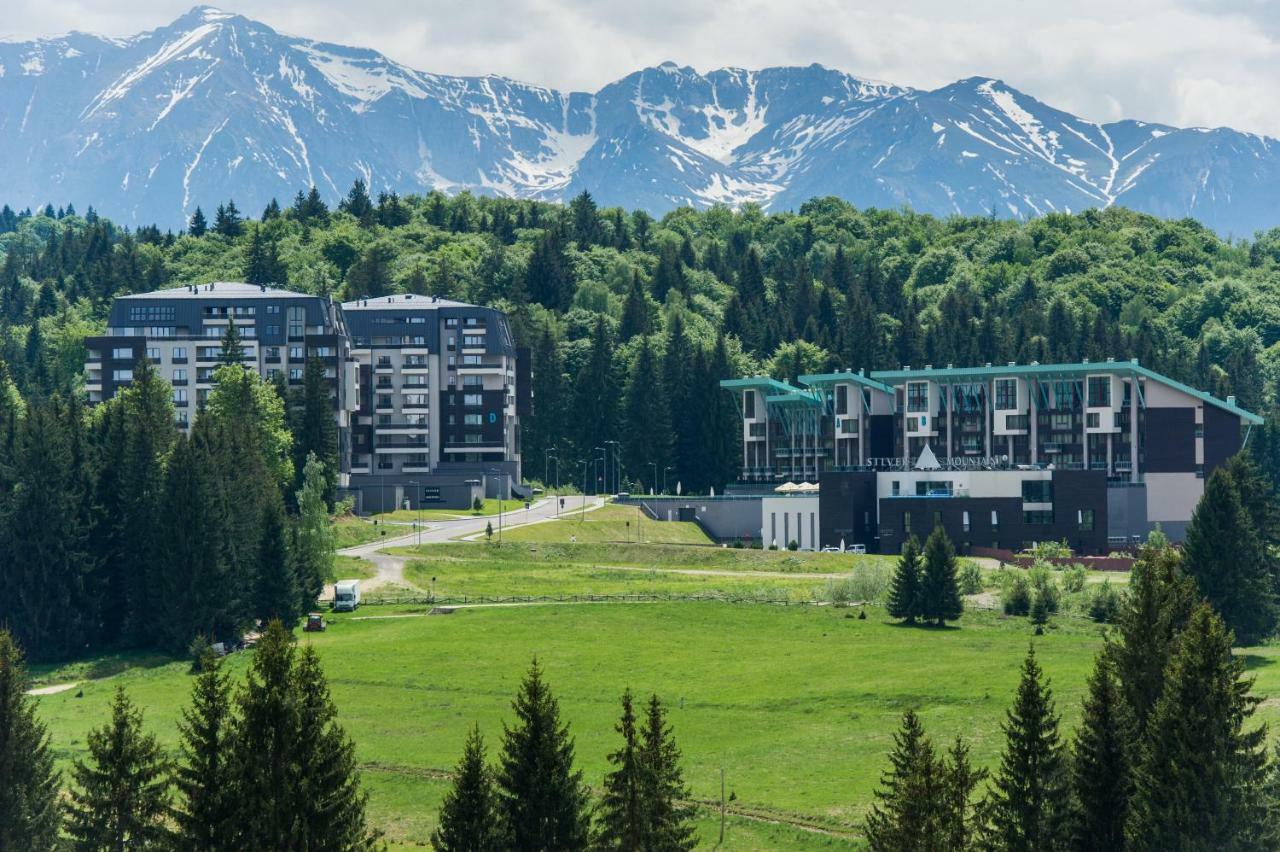 Twin Studio Silver Mountain โปยานาบราซอฟ ภายนอก รูปภาพ